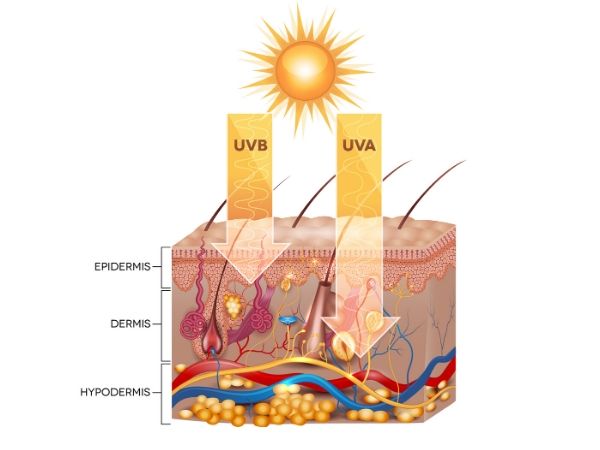 aging antiaging